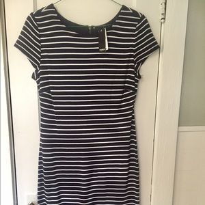 NWT navy white dress knee length size L